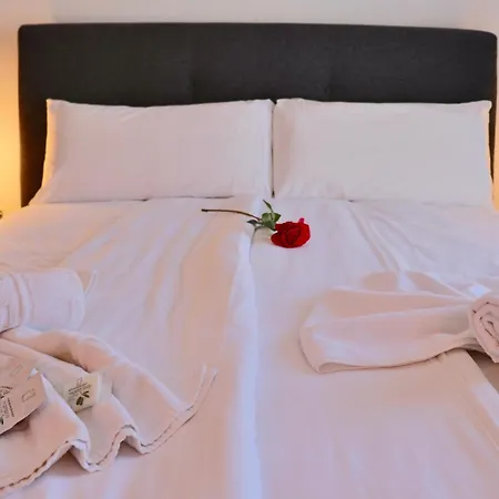 Ocean Park Americas Daire